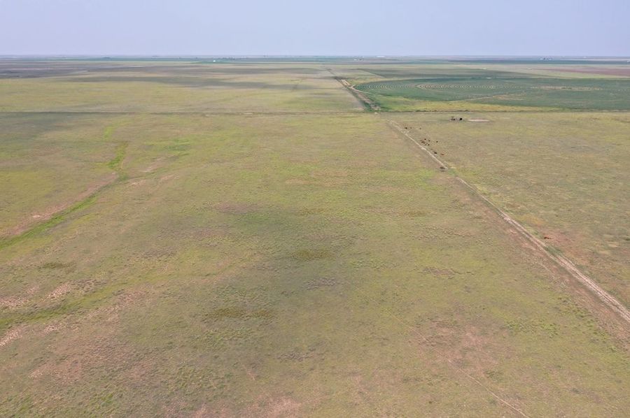 DJI_0220