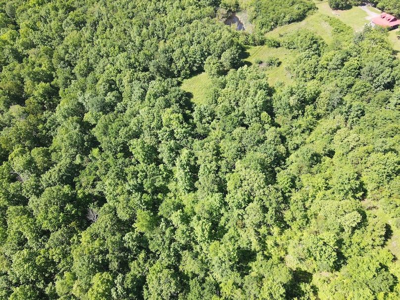 dji_fly_20240509_101122_86_1715267498020_photo