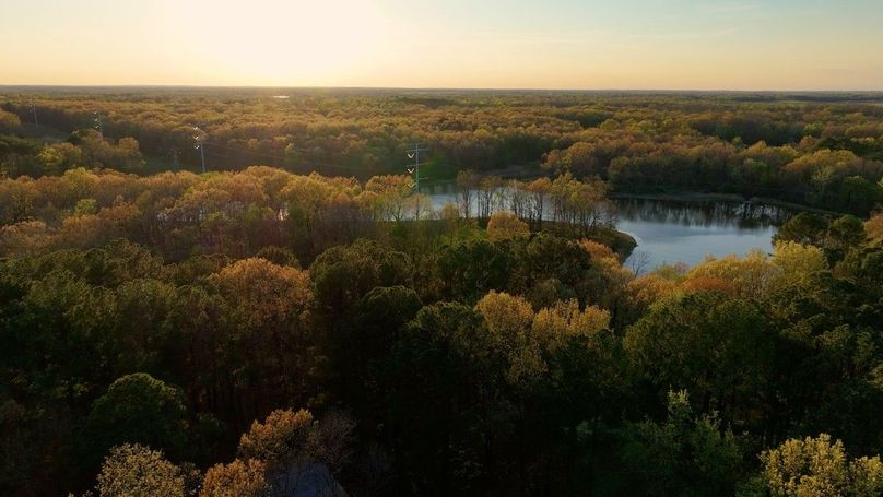 WILLIAMSON, IL 65.00_18_13_05.Still061