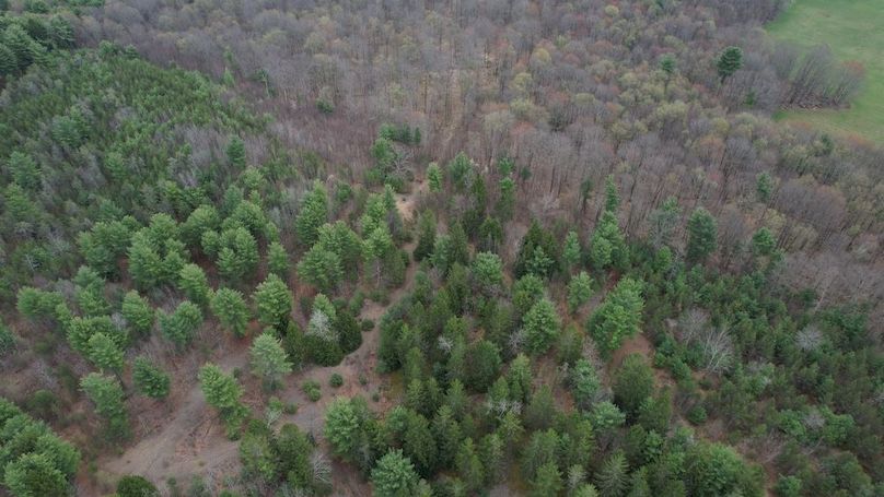 dji_fly_20260416_130418_253_1776359311909_photo