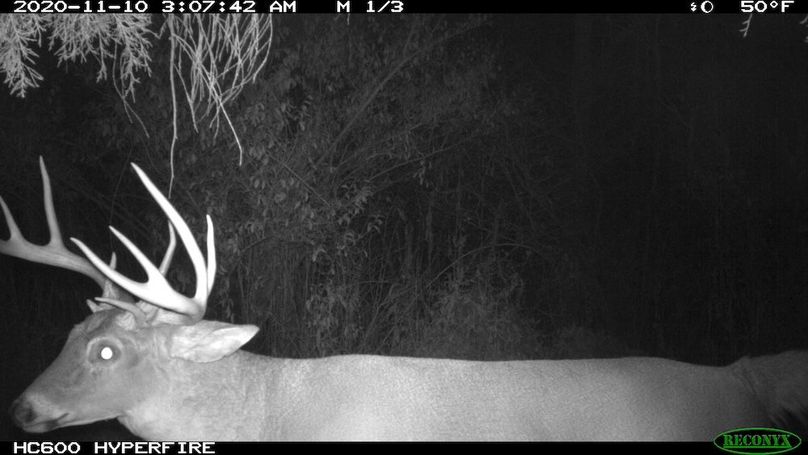 2020-11-10 03-07-42 M 1_3