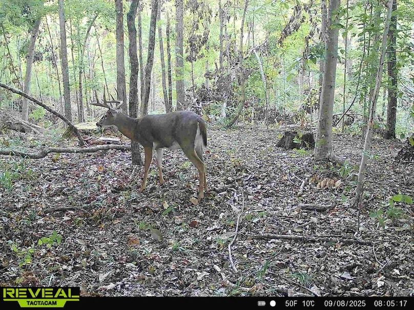 865814048504425-90-2-09082025080516-HD-W1001693