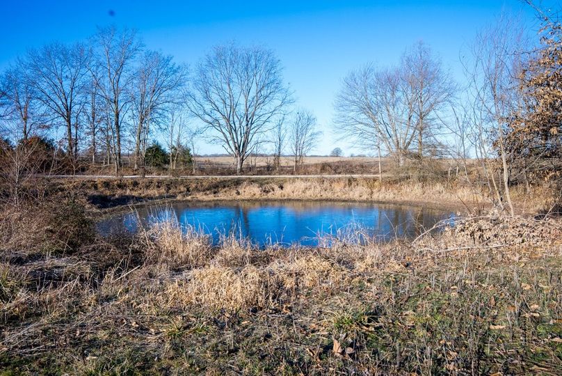 Copy of DSC00661 Large