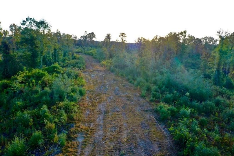 54198C8A-5476-454E-AAC7-41ECD7BD628E_1_105_c