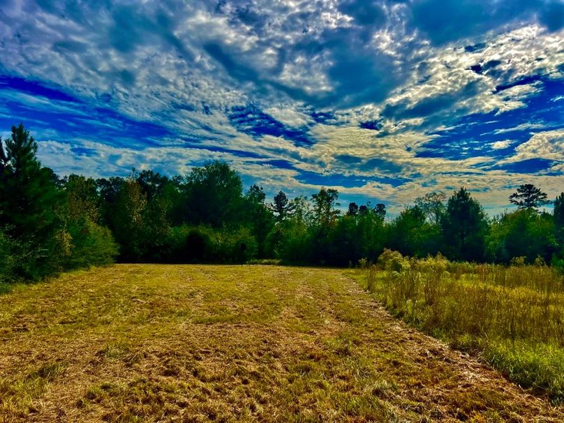 4DE684E3-0B9E-4FE9-8F7F-66476CFFAB95_1_201_a