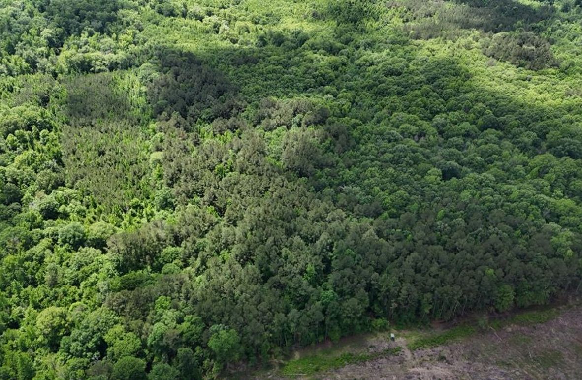 DJI_20250504012813_0475_D