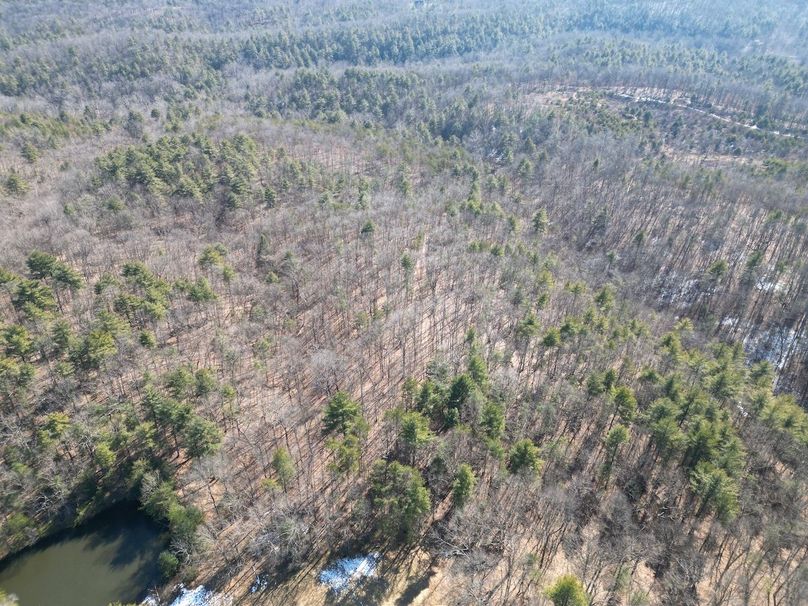 DJI_0501