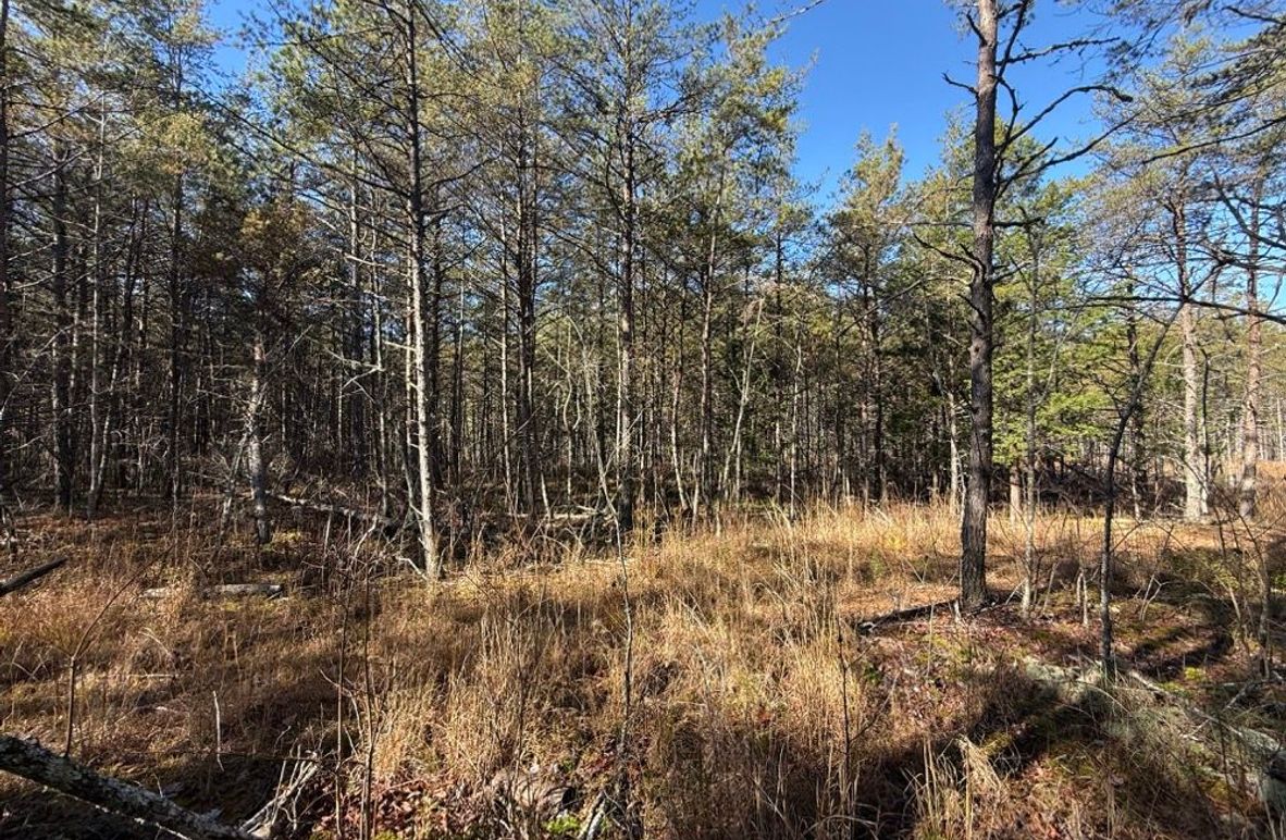 001 view along the road the beginning of an entrance to a building site