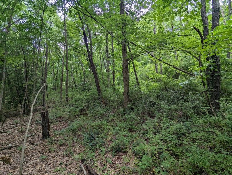 PXL_20240607_190840169