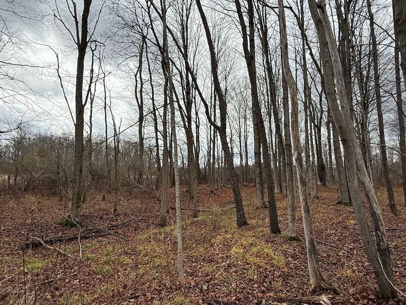 Tompkins_15.15_Galarza Photo 27