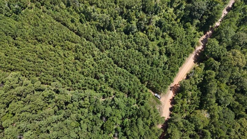 DJI_20250727033911_0547_D