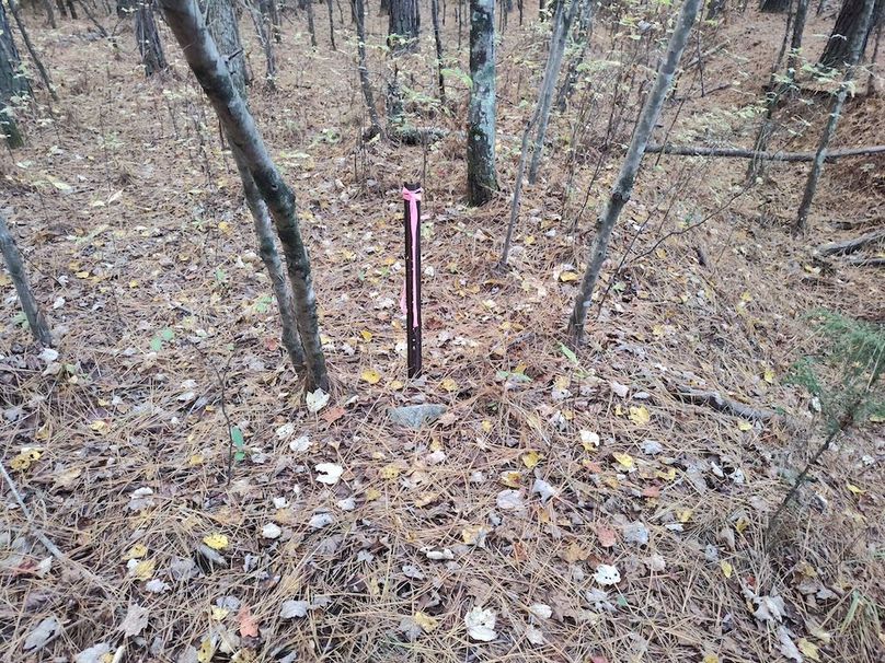 IMG_20251105_152200901