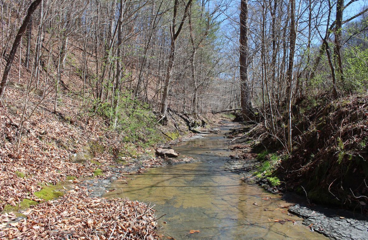 001 the beautiful stream running along the east boundary
