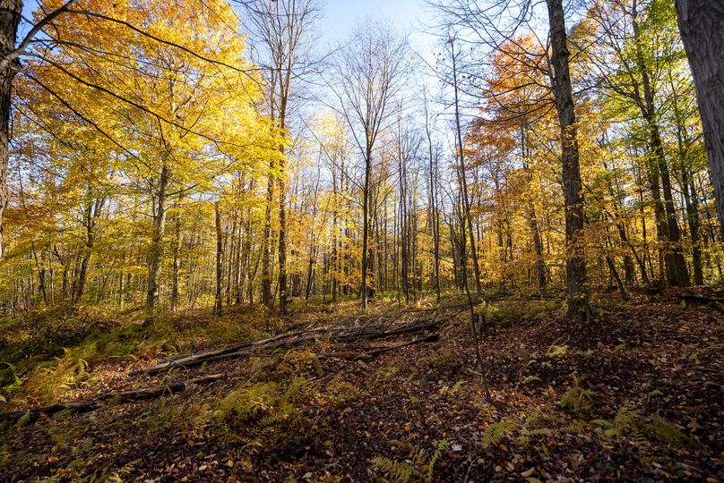 Elk PA 7000 Feature_Pro Photo-133