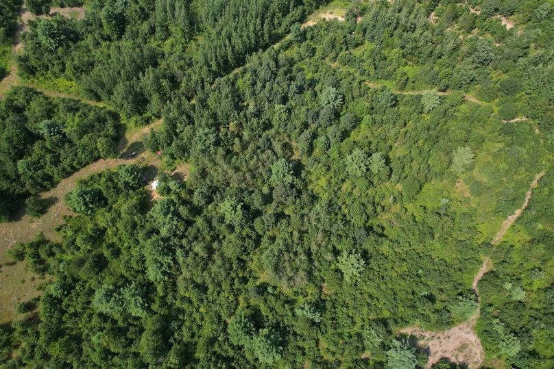 dji_fly_20250805_150732_214_1754424608871_photo