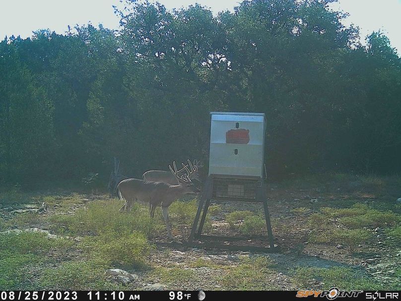 Game Camera 1