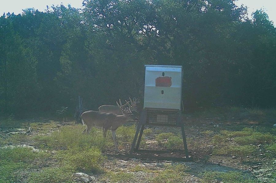 Game Camera 1