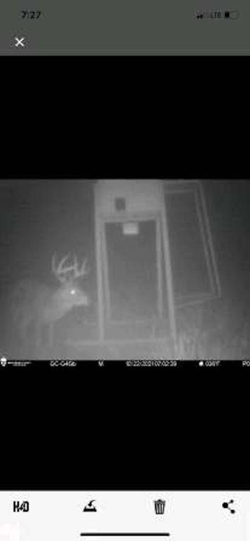 pulse-image-1658112815607