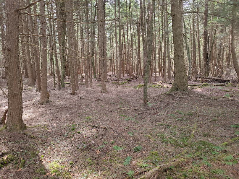 photo_c5d283c9-2509-456b-a4ad-25963871b23a