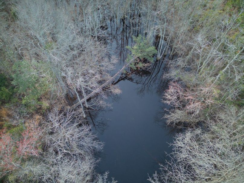 DJI_20240227083327_0029_craven60