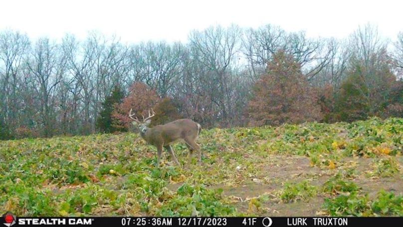 2023121707253801002035