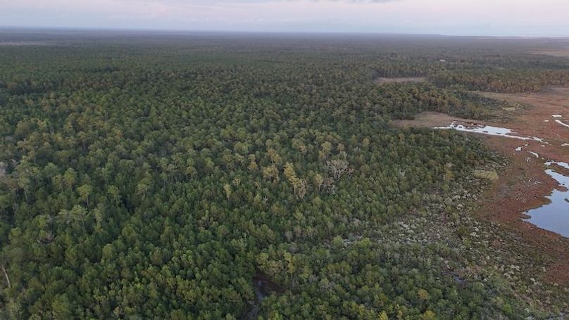 DJI_20251007191546_0031_D