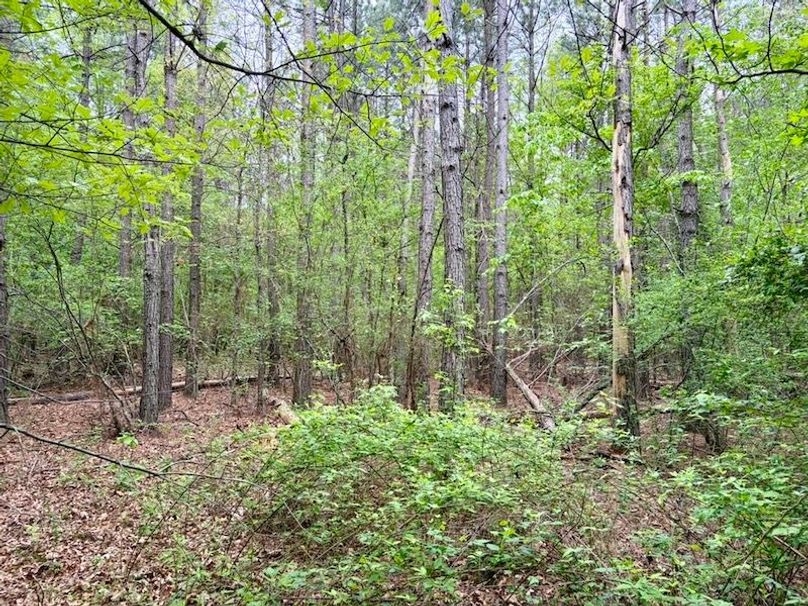 EC6BA509-461C-4B5E-9FD8-BFBBCE5B440C_1_105_c