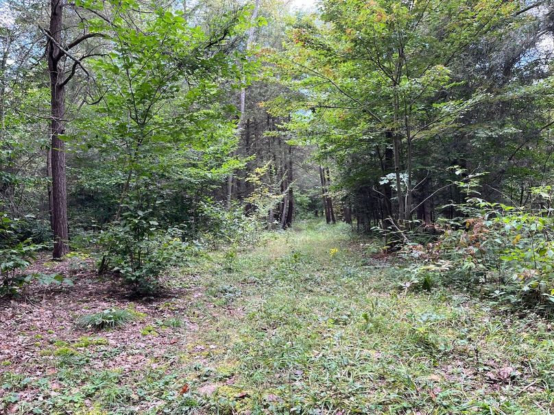 Schuyler_42.08_Austin Photo 28