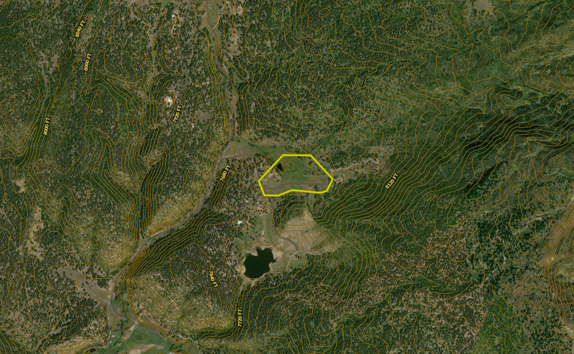 Screenshot 2024-06-19 at 11.03.28 AM