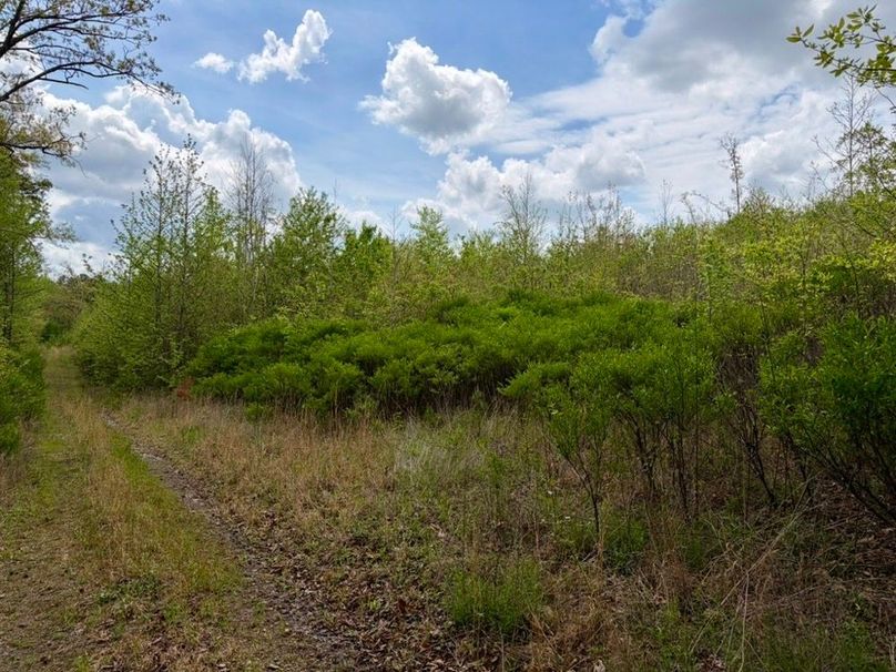 99D73E2B-6808-431C-9009-622F1EB52440_1_105_c-2