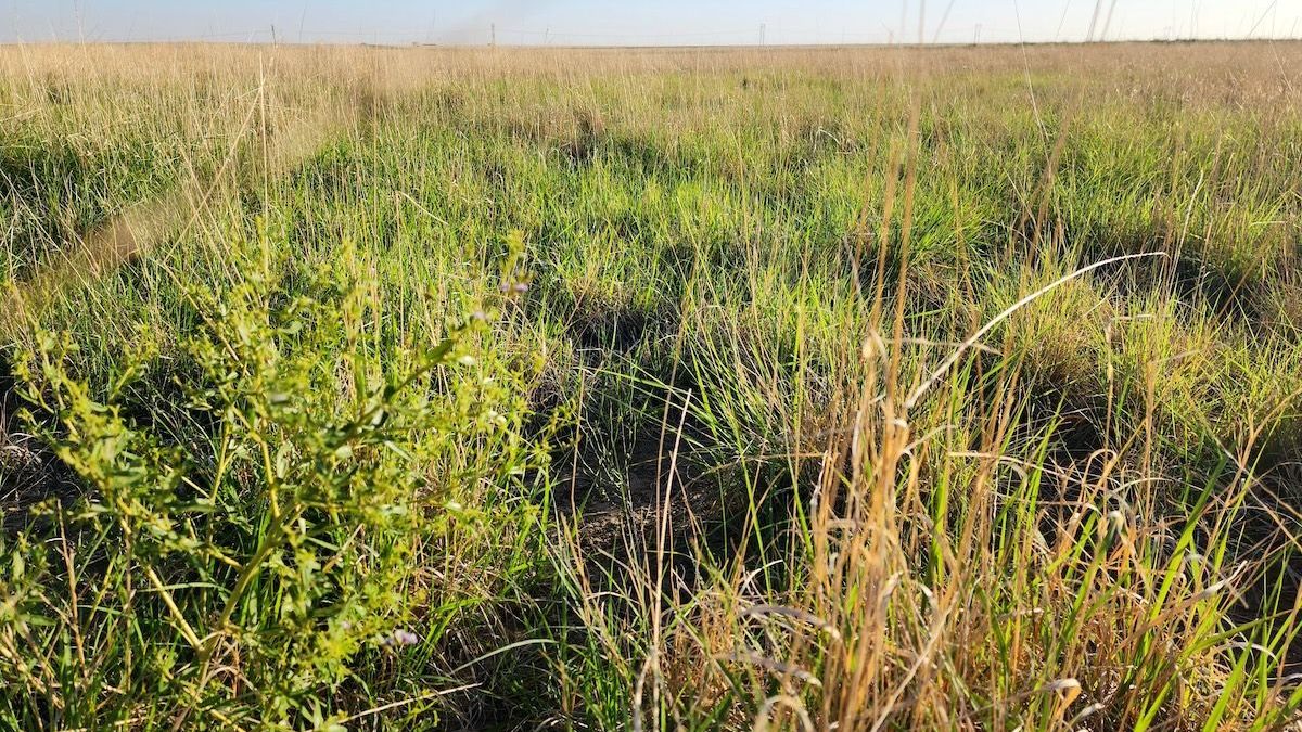 CRP Parcel Near Adobe Creek Reservoir With Paved Road Frontage ...