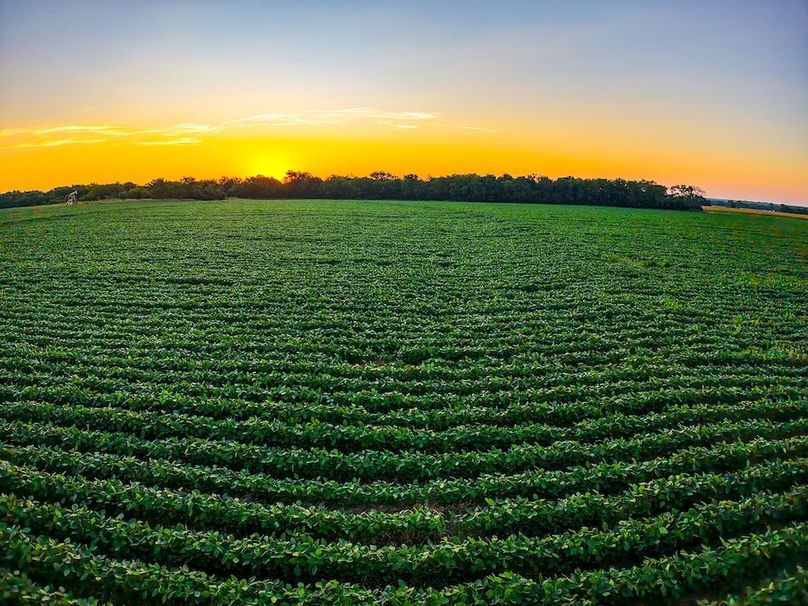 DJI_20250816065413_0707_D