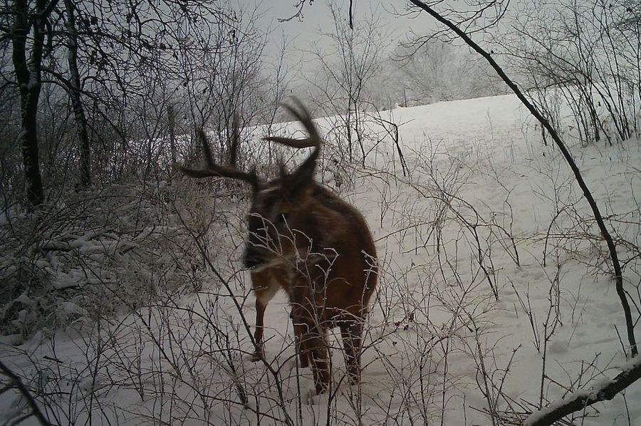 Nice eight point