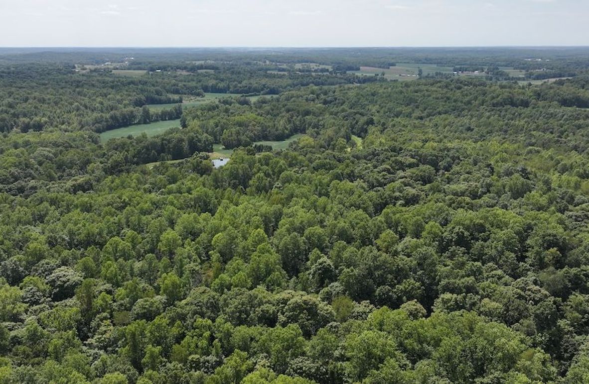 dji_fly_20240904_132806_0371_1725471195544_photo