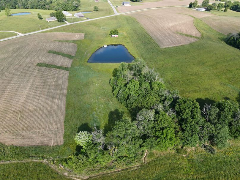 dji_fly_20230531_092308_398_1685539398304_photo