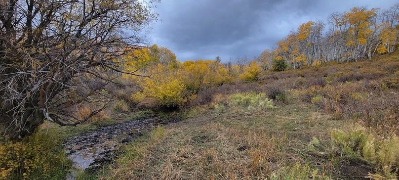 Copy of 20231011_110343