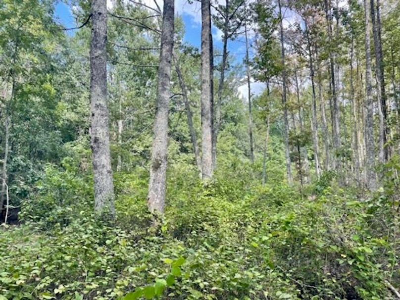 03E8EFEA-F0F0-427F-8D40-485B15131D42_4_5005_c