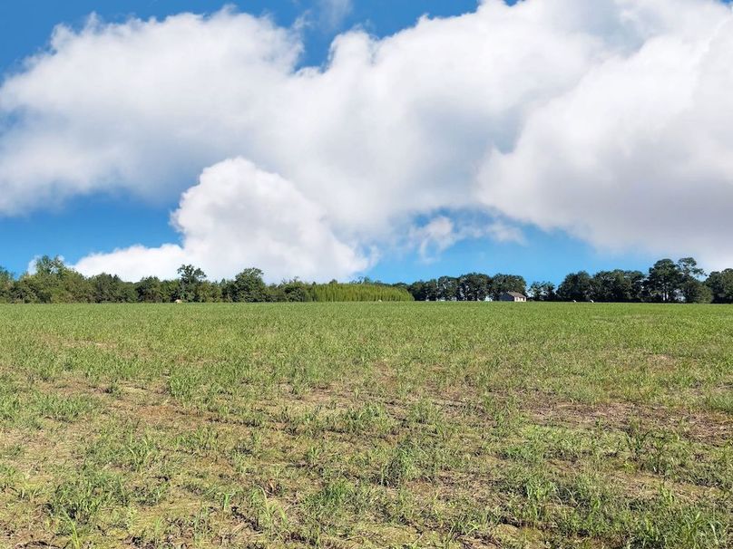 9E970AE9-D4DF-475B-B9AC-BD8B09AE308A