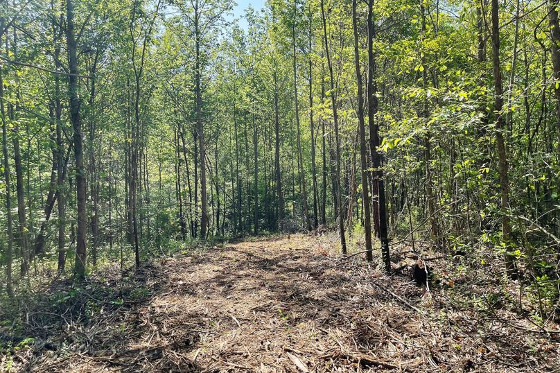 10 Trail 03