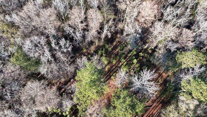 DJI_20251209144937_0009_D