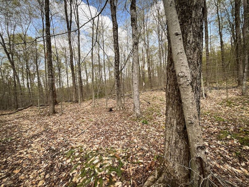 Tioga_76.65_Matyjas_Photos_41