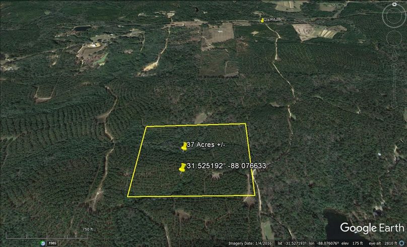 Aerial #2 Approx. 37 Acres Washington County, AL