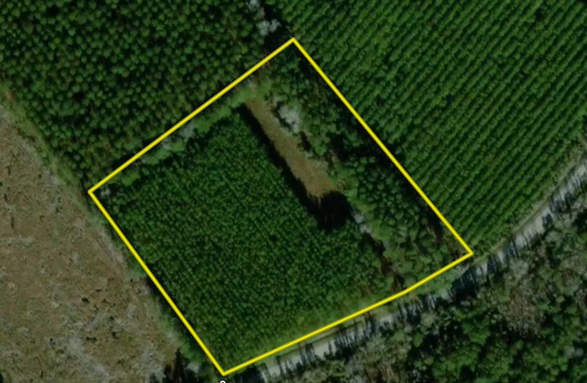 Screenshot 2025-07-29 162350