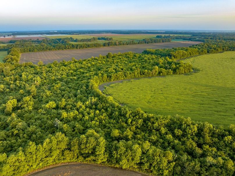 Copy of Noxubee 112.1 +- Tract 1-11