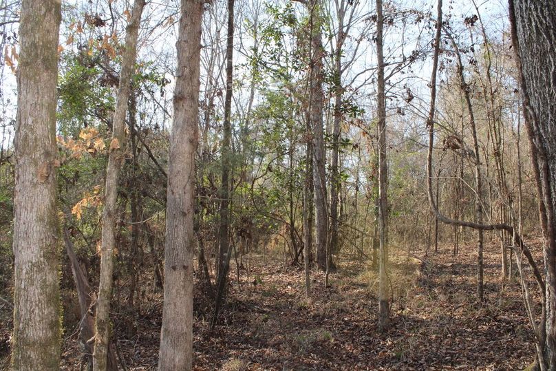 A8B24C36-5F78-41D7-B4F3-3C2630A2CB26_1_105_c