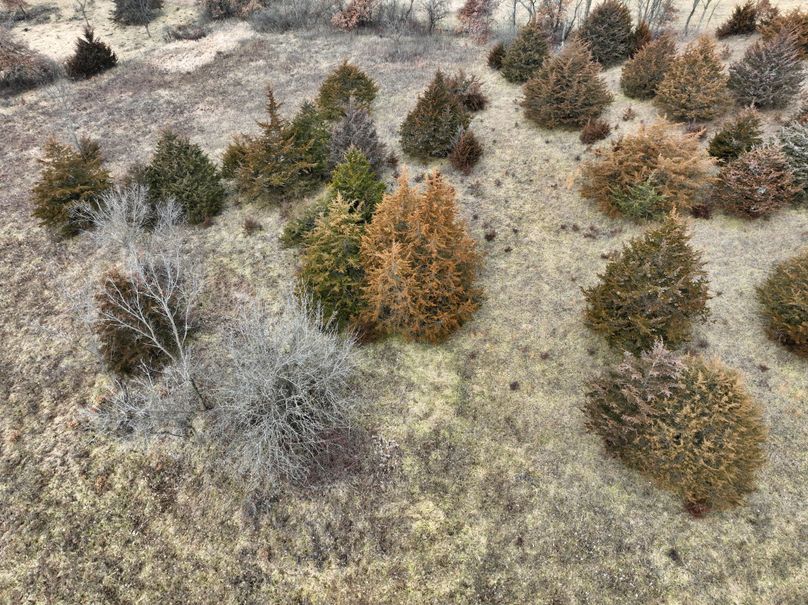 DJI_0863