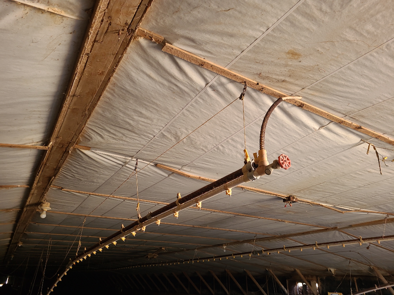 50.38ac_BethlehemRd_Caroline_Home_010