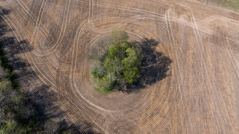 DJI_20260407162239_0012_D