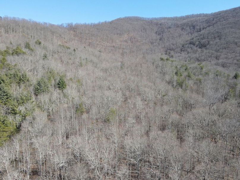 Cherokee 118.85 Harris Top-40