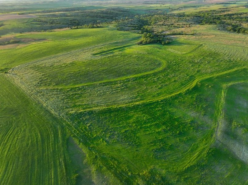 dji_fly_20250512_064958_111_1747051051582_photo